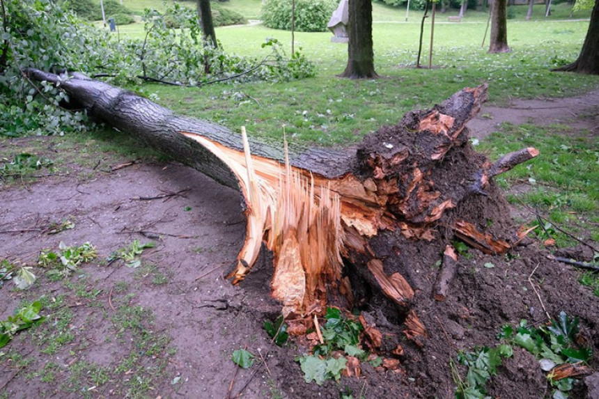 Zagreb: Vjetar rušio drveće 