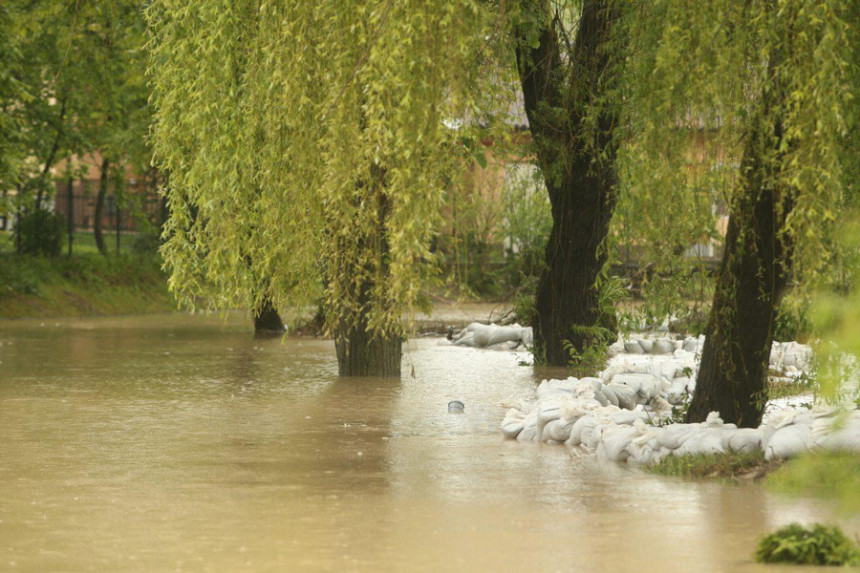 Sava blago raste, Una stagnira