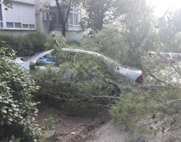 Mostar: Jak vjetar lomio stabla