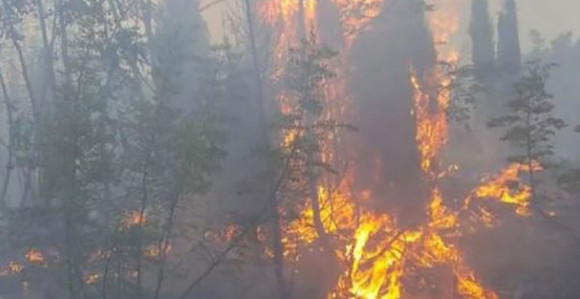 Veliki požar kod Čitluka