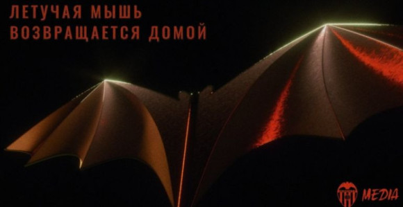 Slijepi miš se vratio kući!