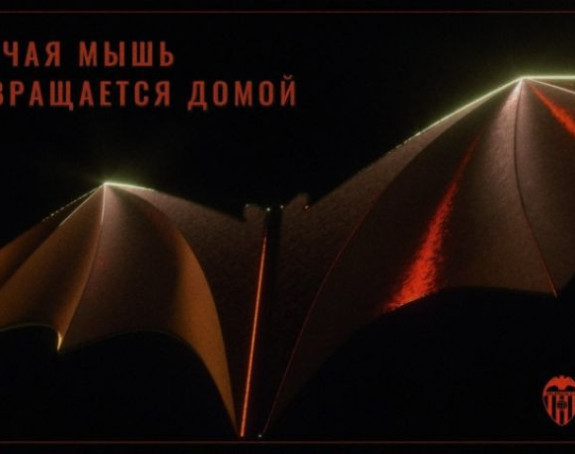 Слијепи миш се вратио кући!