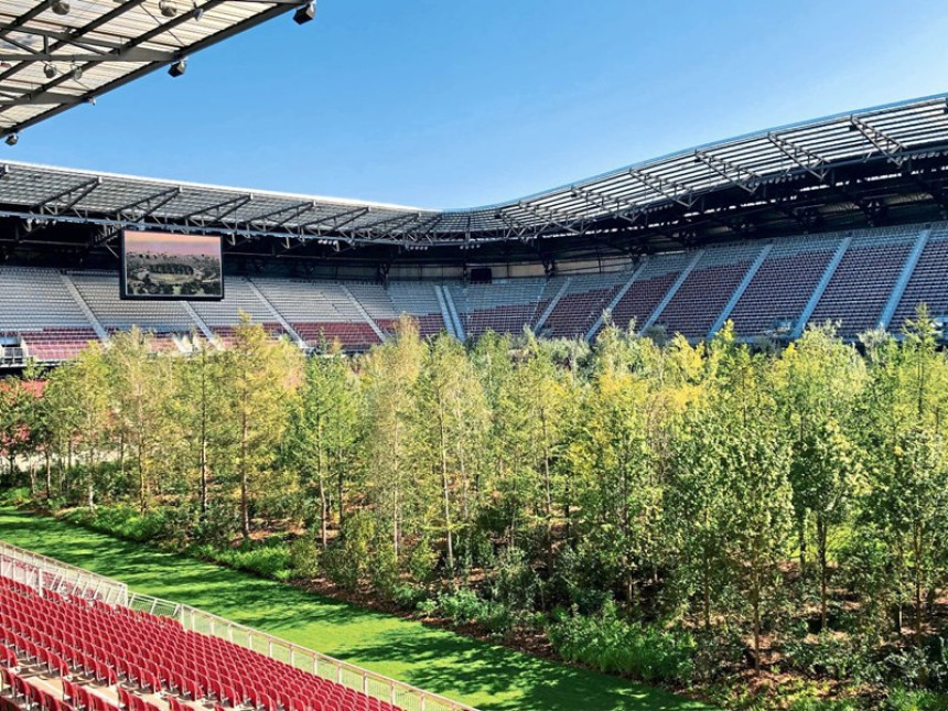 Umjetnost je šuma na fudbalskom stadionu!