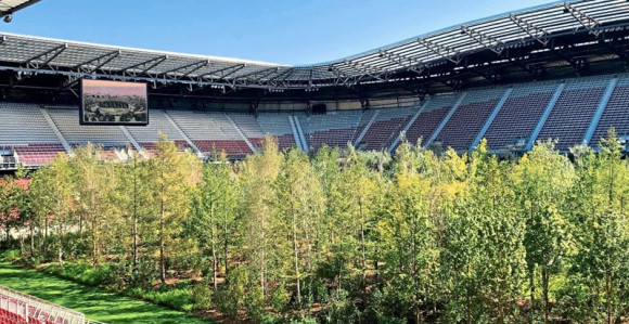Umjetnost je šuma na fudbalskom stadionu!