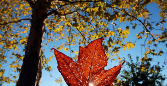 Sunčano i toplije: Danas do 24°C
