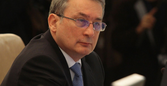 Bosić: Ostajem na raspolaganju SDS-u