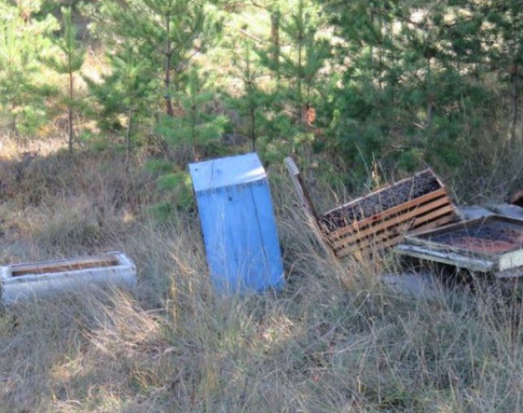 Medvjed poharao pčelinjak
