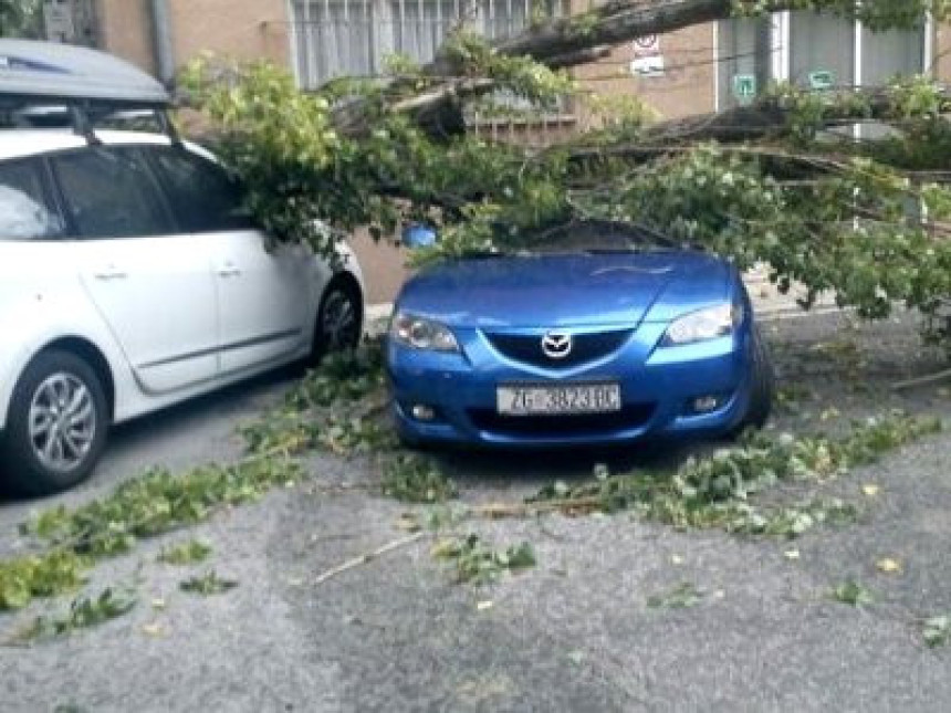 Oluja u Zagrebu čupala drveće