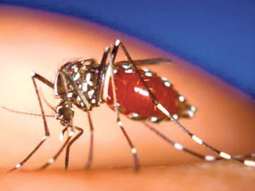 Stigao novi virus iz Afrike