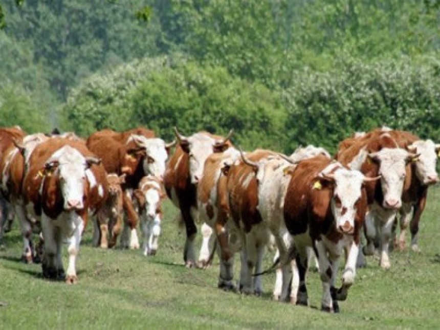 Vlada opet daje kredit "Farmland-u"