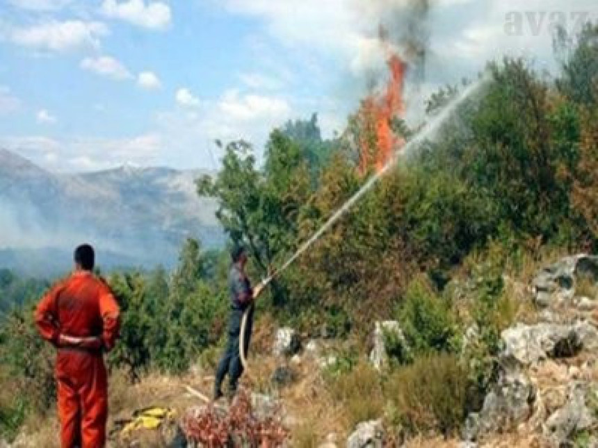 Potrebna međunarodna pomoć u gašenju požara