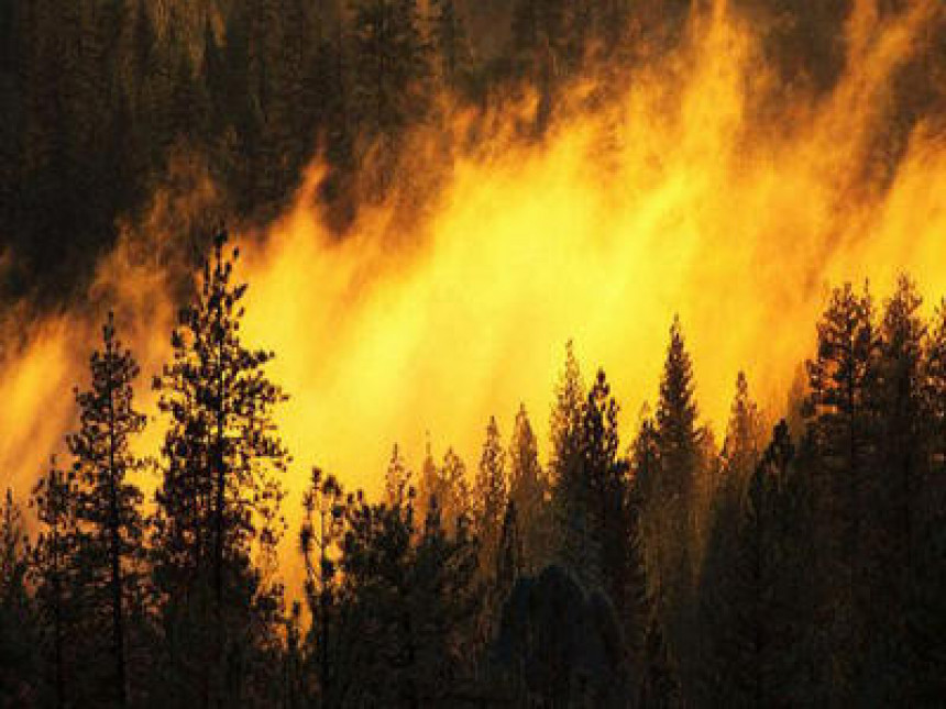 Šumski požari prijete kućama 