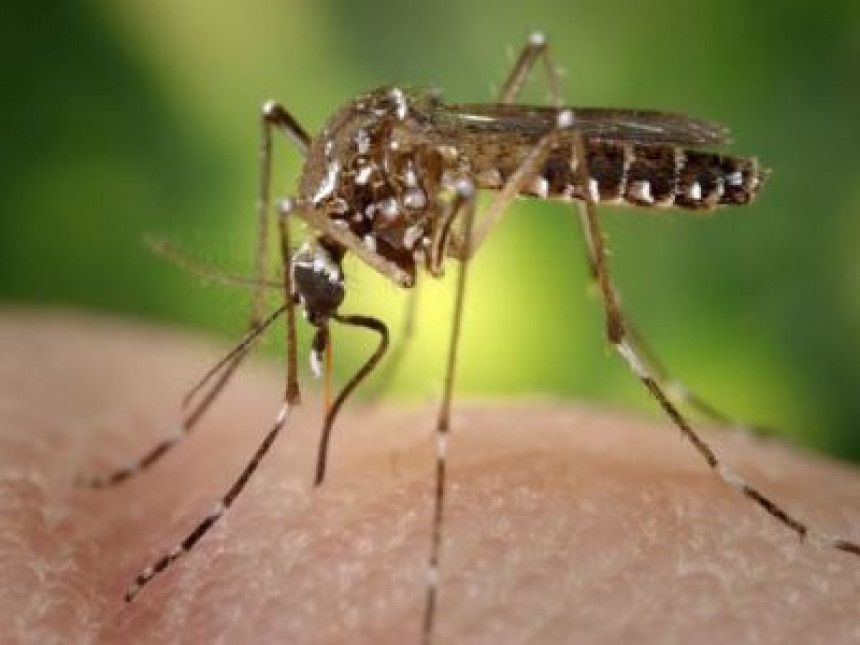 Večeras suzbijanje komaraca u Kojčinovcu, Janji, Modranu i na Obriježi 