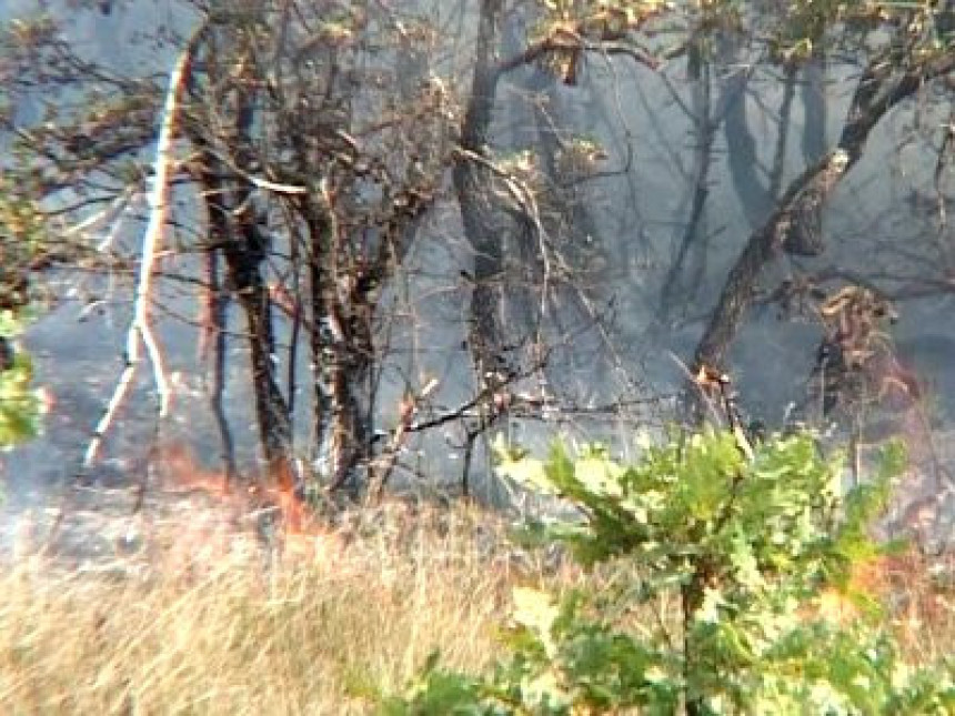 Požari u okolini Ljubinja pod kontrolom (VIDEO)