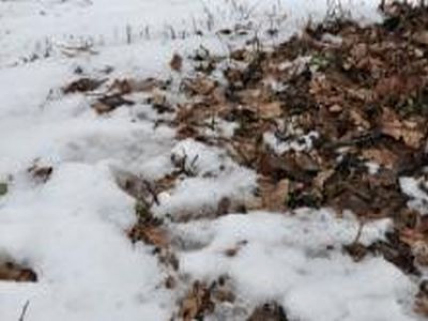 U Hrvatskoj i Sloveniji pao snijeg
