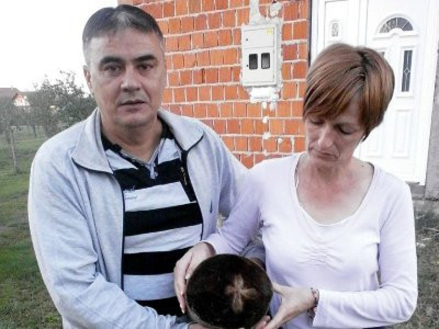 Модрича: Златни крст у буковом дрвету