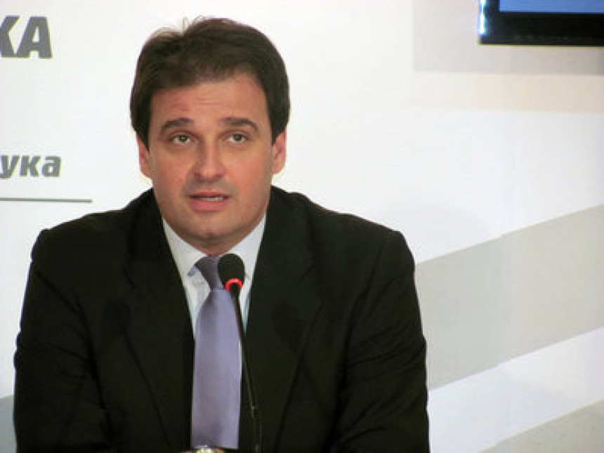 SDS: Zauzeti stav o reviziji tužbe 