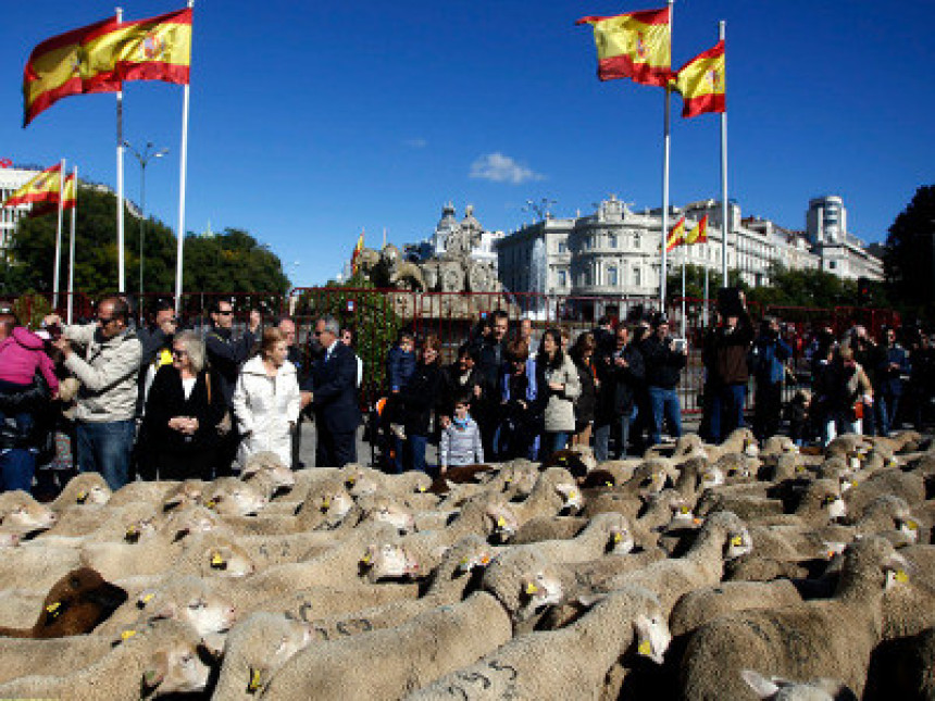 Ovce blokirale centar Madrida