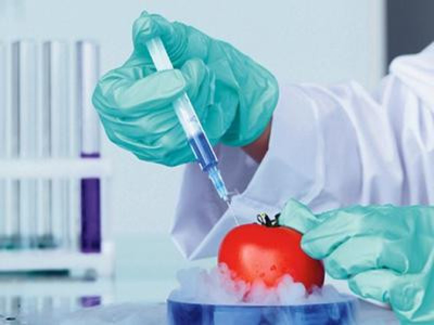 Više od 80 odsto građana Srbije protiv GMO!