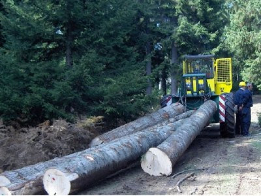 Šteta od krađe šuma 1,5 miliona