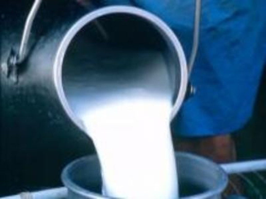 U Semberiji dva pozitivna uzorka mlijeka na aflatoksin