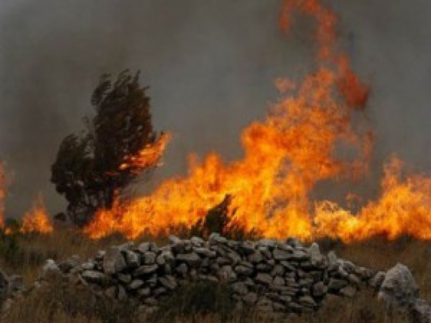 Požar u okolini Mojkovca i dalje bukti