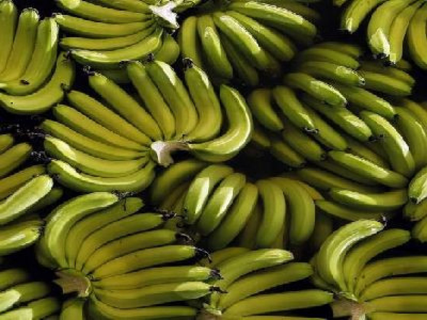 Svijetu prijeti nestašica banana