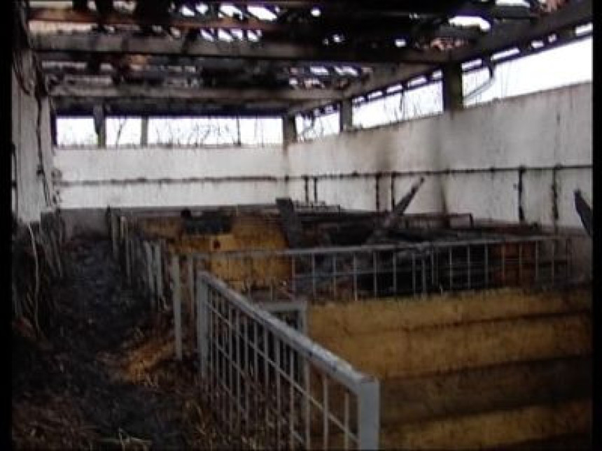 Пожар на фарми у Којчиновцу