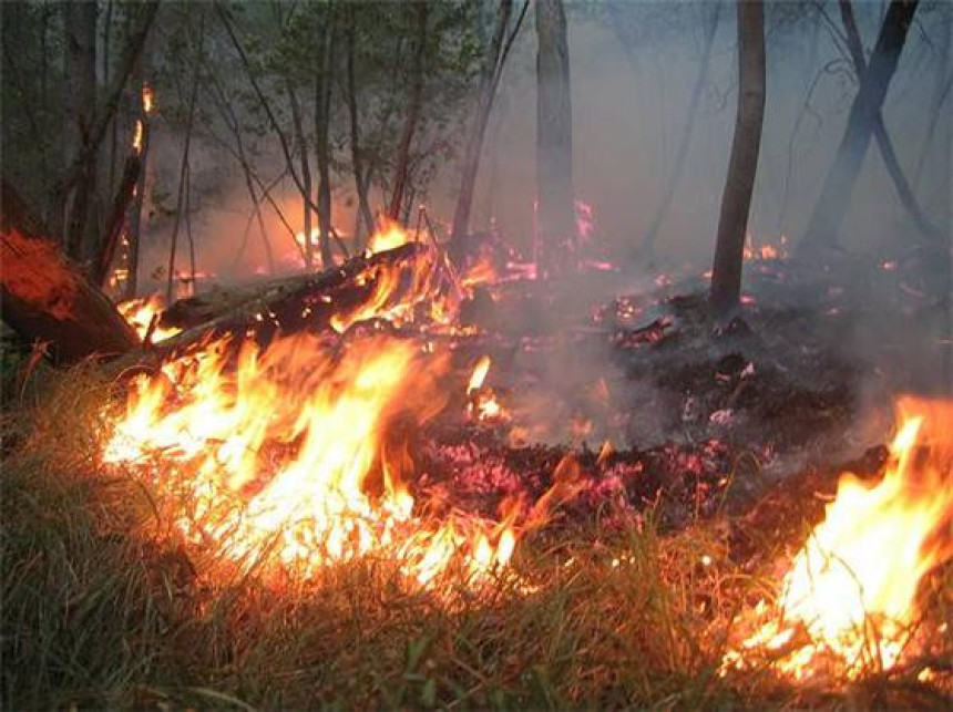 Požar u Šipovu aktivan, ali pod kontrolom 