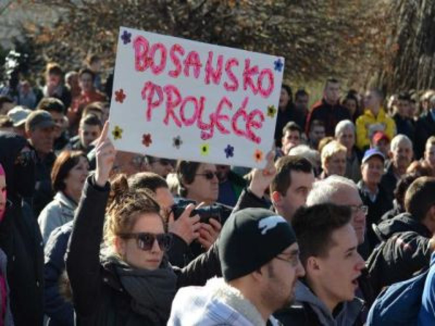 Дане Чанковић: За и против протеста