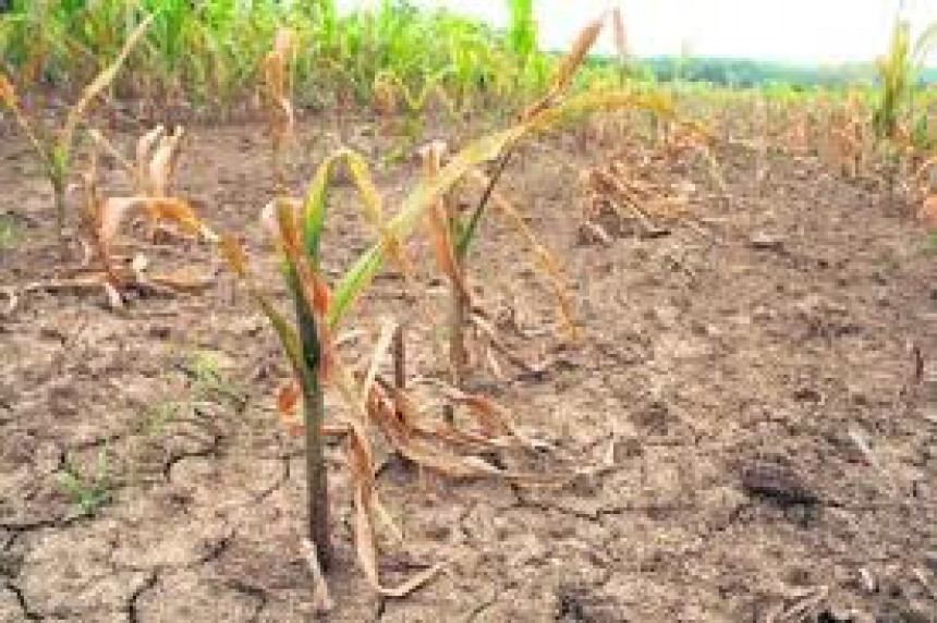  Danas o prijedlozima za ublažavanje posljedica suše