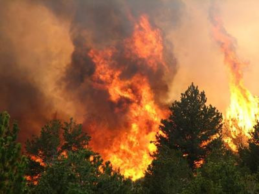 Trebinje: Vatrogaci dobili bitku sa stihijom