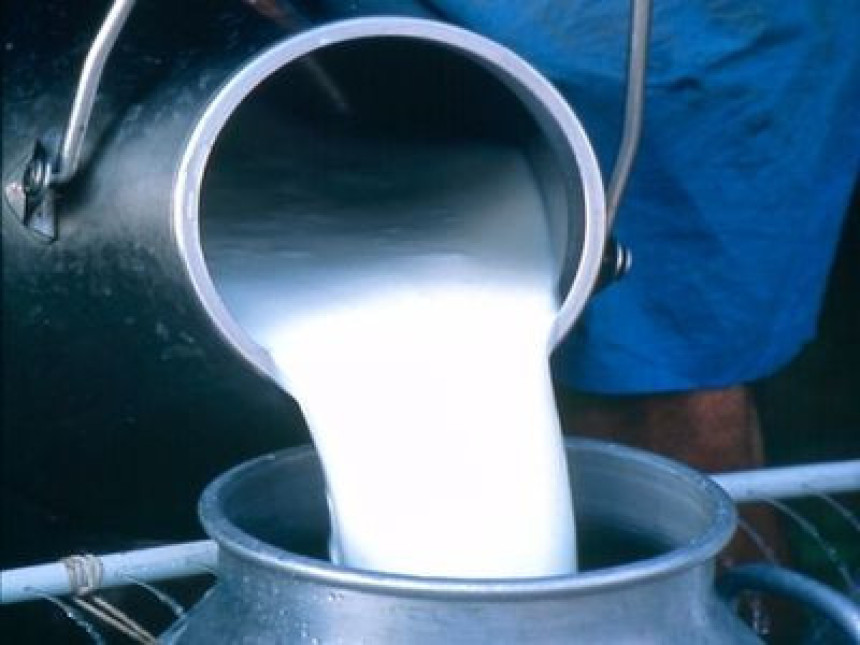 Ne može se izvoziti mlijeko u EU