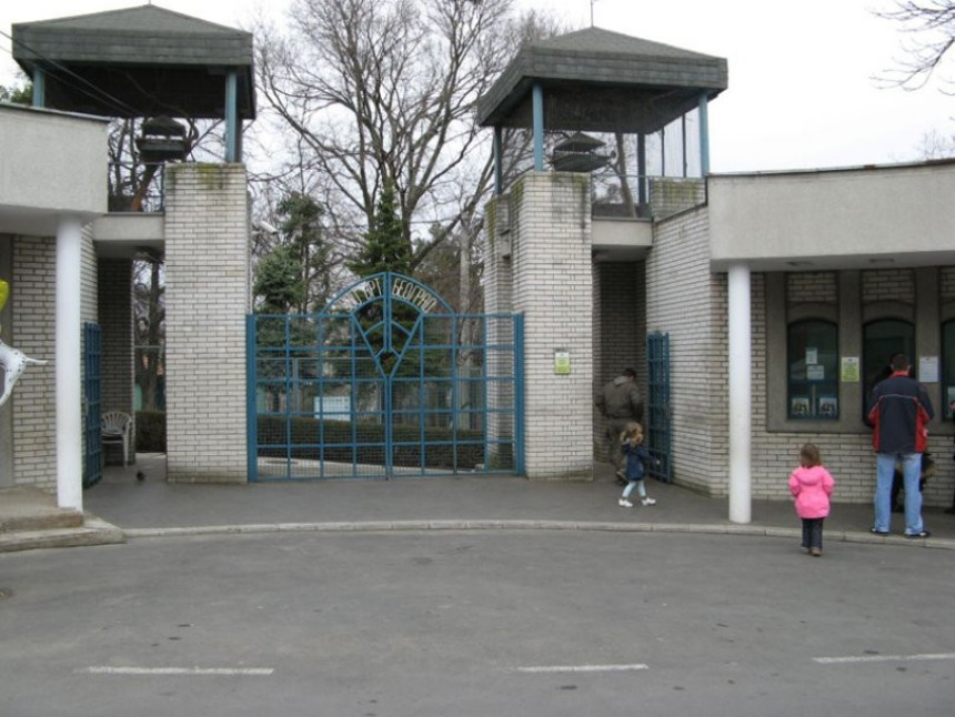 Vuk povrijedio djevojčicu u Zoološkom vrtu!