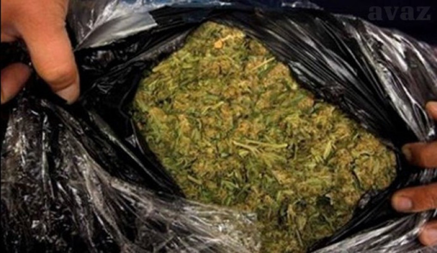 Od Albanca zaplijenjeno 20 kilograma skanka
