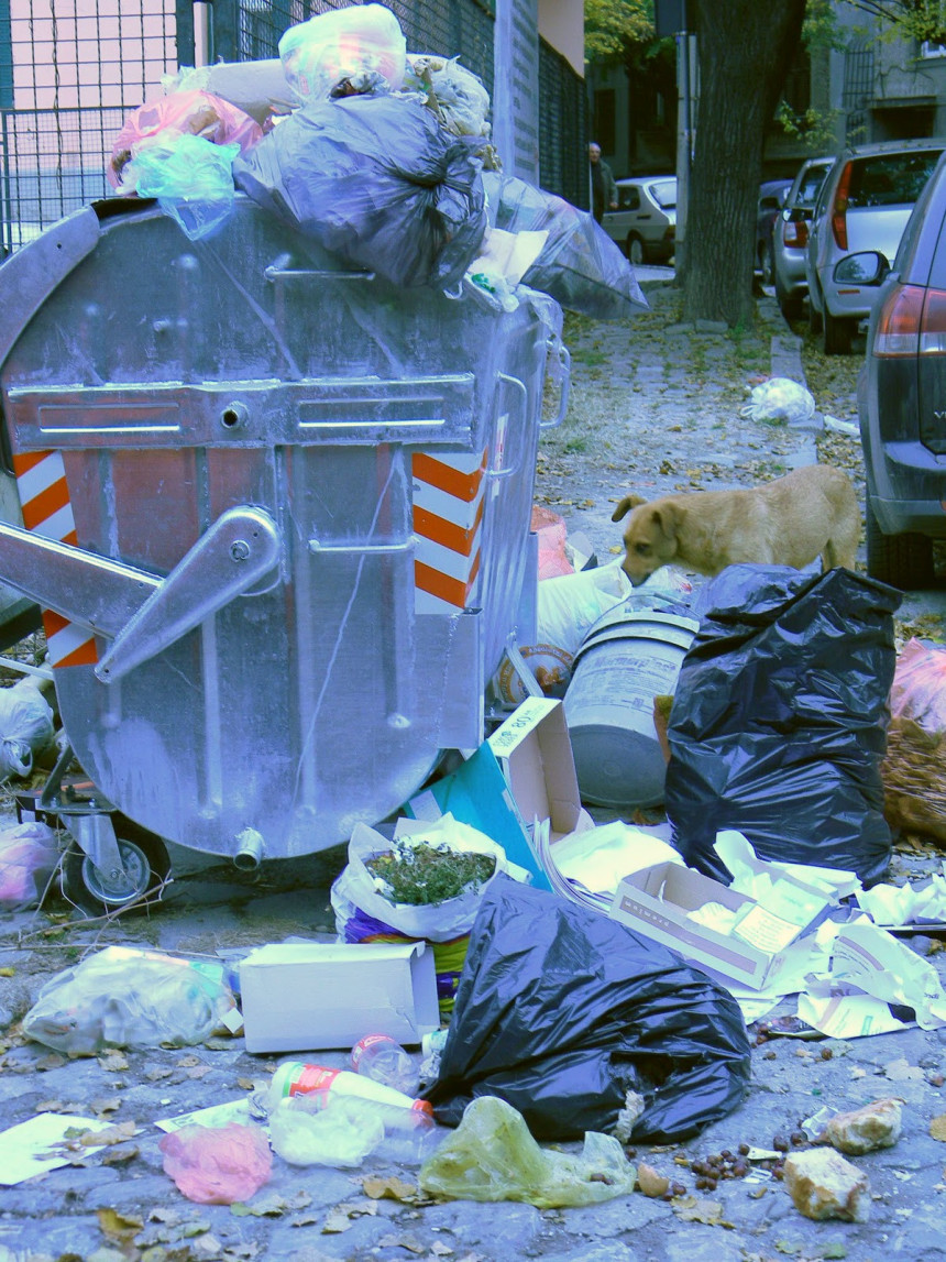 Beogradu prijeti zaraza zbog punih kontejnera