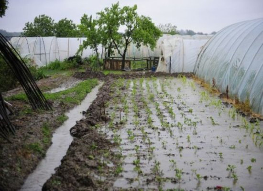 Najviše stradali sektori ratarstva i stočarstva 