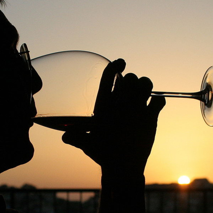 Novac od reprezentacije potroše na alkohol