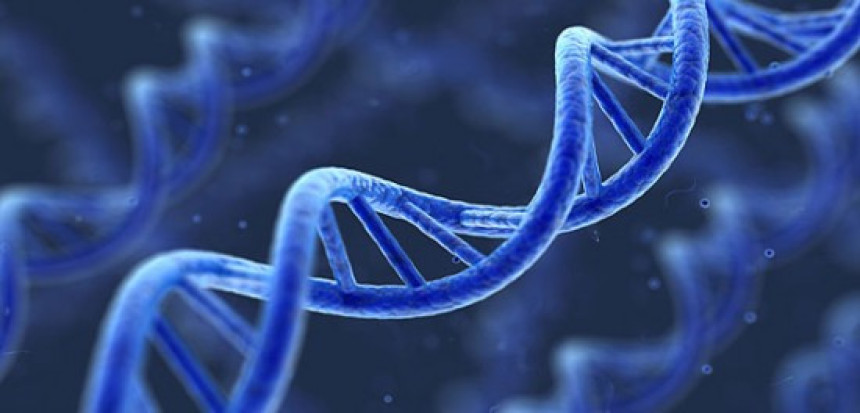 Geni i alkoholna pića