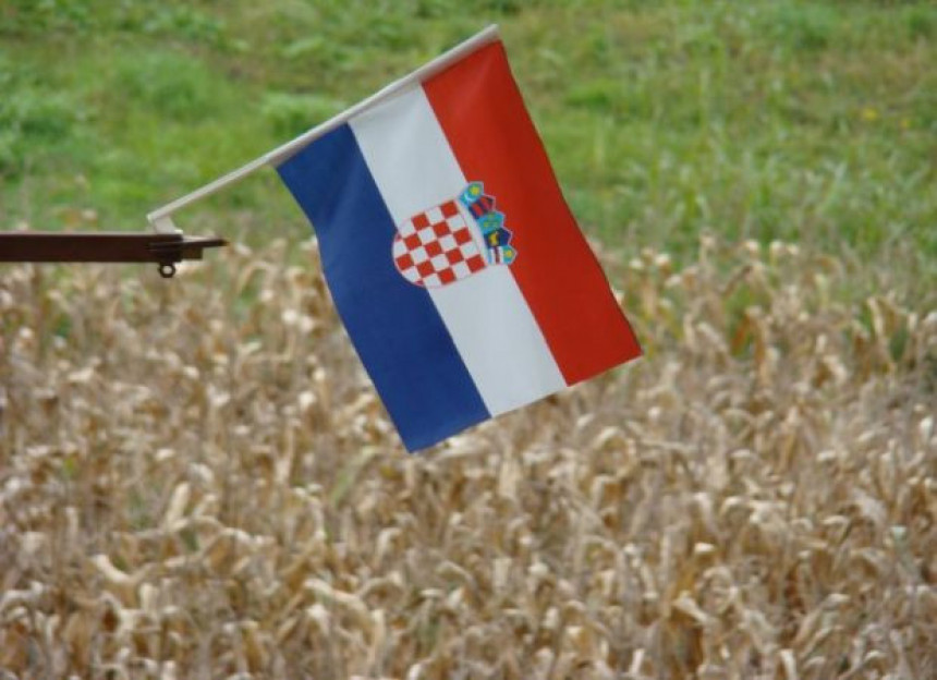 Хрватска гради нуклеарку у Ердуту?