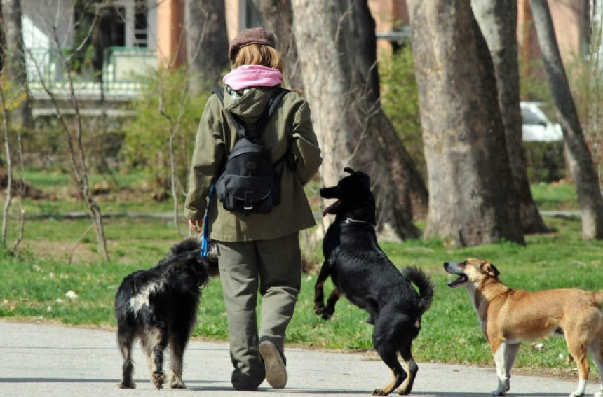 Španija: Policija za pseći izmet