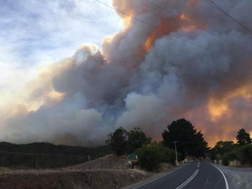 Аустралијом бјесне дивљи пожари