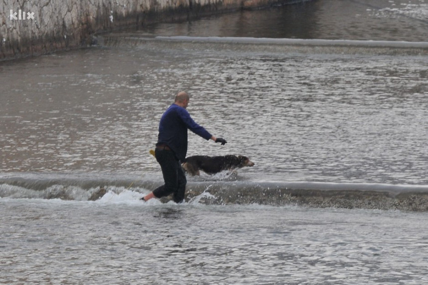 Muškarac ušao u ledenu Miljacku da spasi psa lutalicu