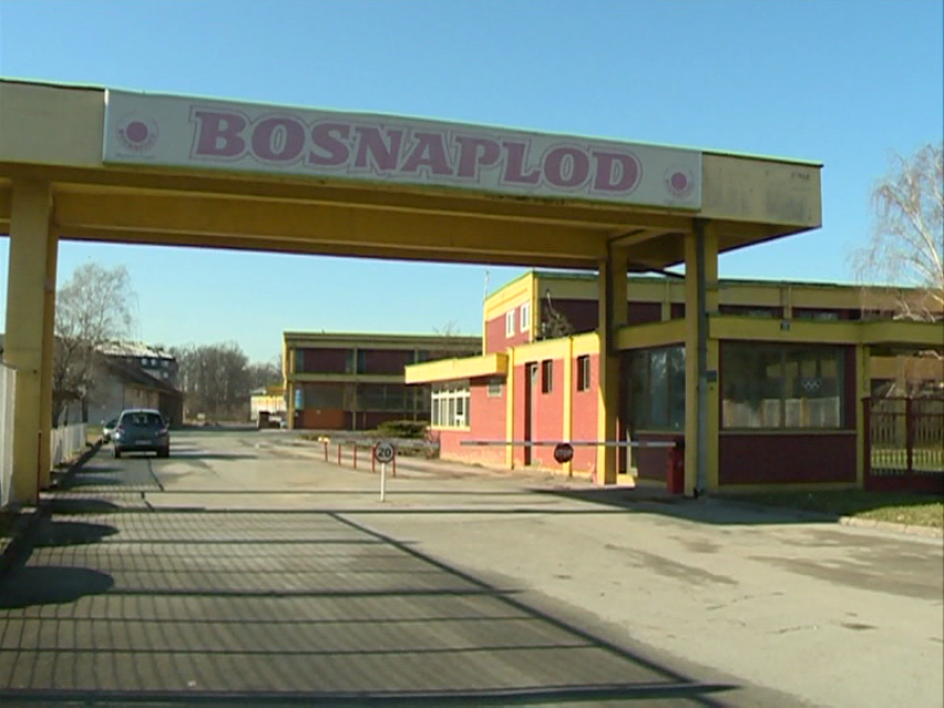 "Bosnaplod" na licitaciji