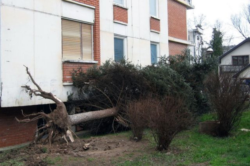 Vjetar čupao stabla i skidao krovove