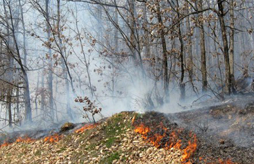 Више пожара на подручју Требиња