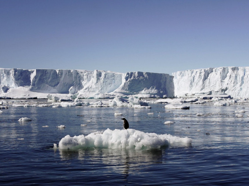 На Антарктику рекордних 17,5 степени