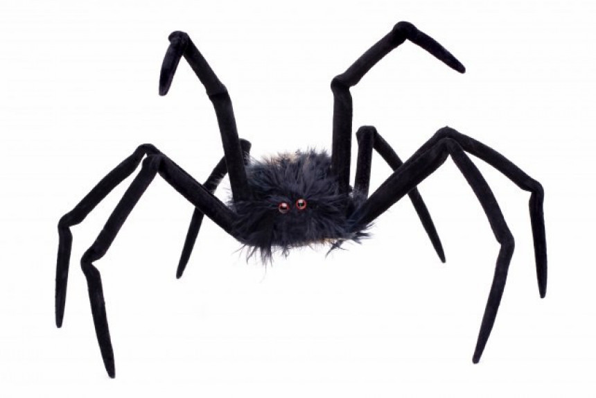 Zašto imamo fobiju od paukova?