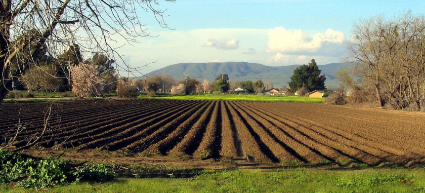 Пољопривредна производња у ФБиХ мања за 15 одсто