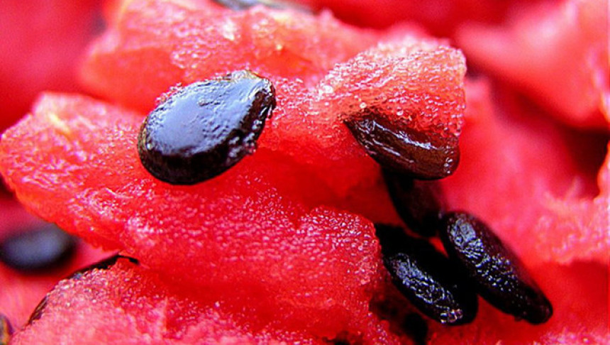 Ево зашто би требало да једете коштице из лубенице